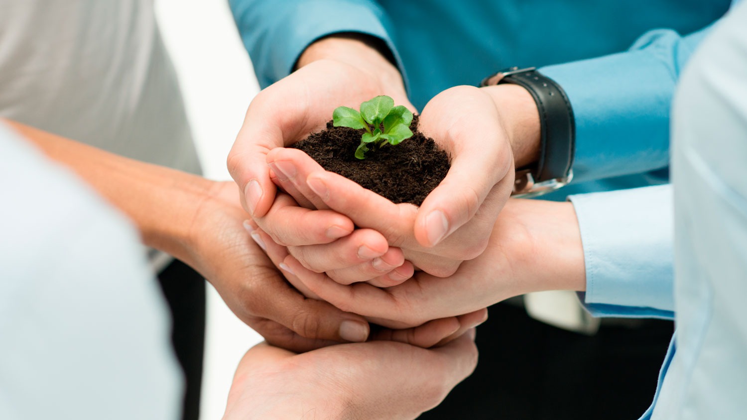 VALORIZACIÓN ECONÓMICA AMBIENTAL